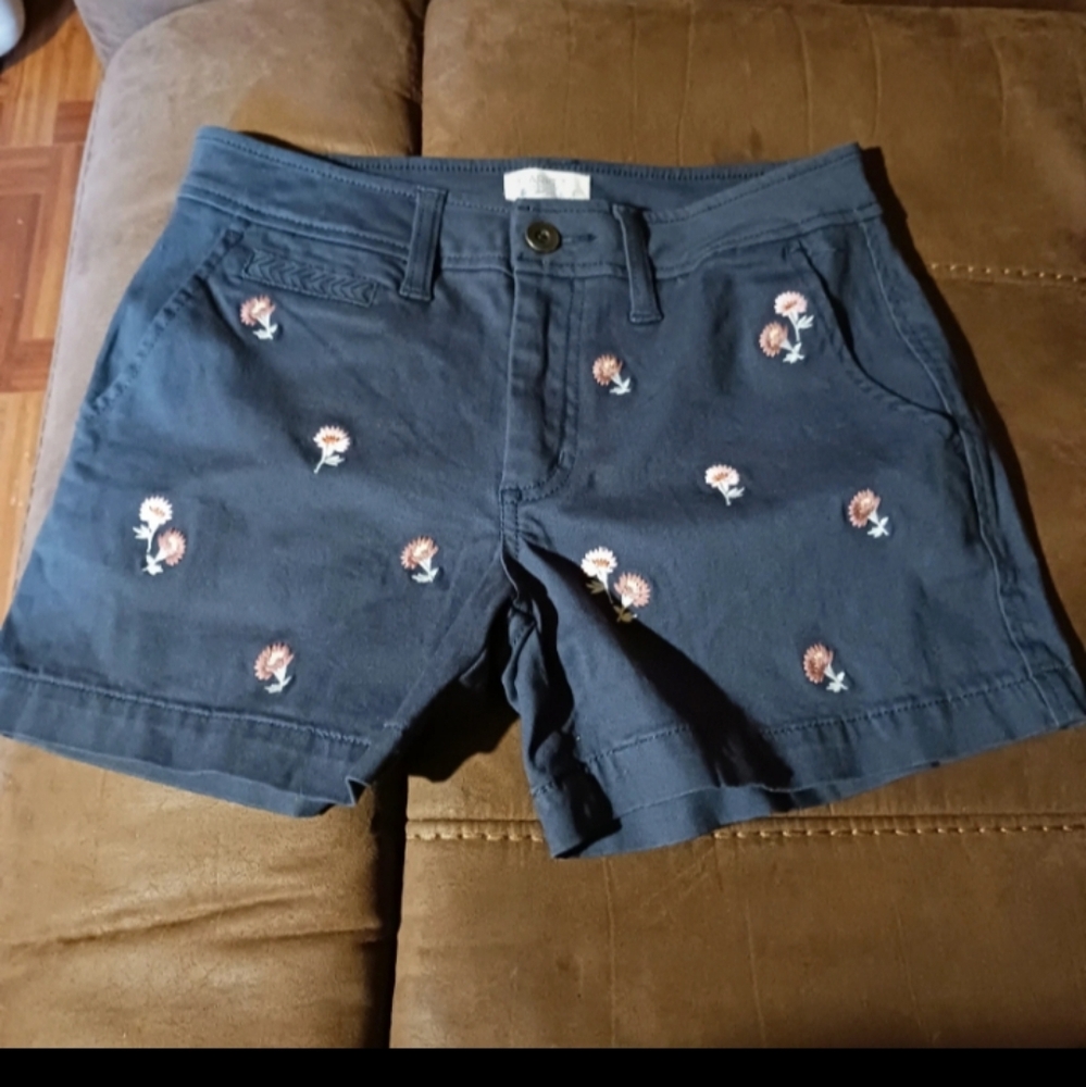 Market Spruce Embroidered Women's Shorts - Blue
